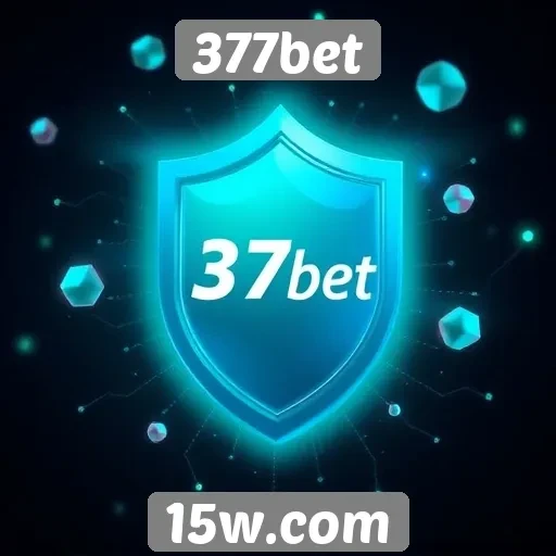 A segurança das transações financeiras na 377bet